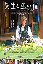 دانلود فیلم Teacher and Stray Cat